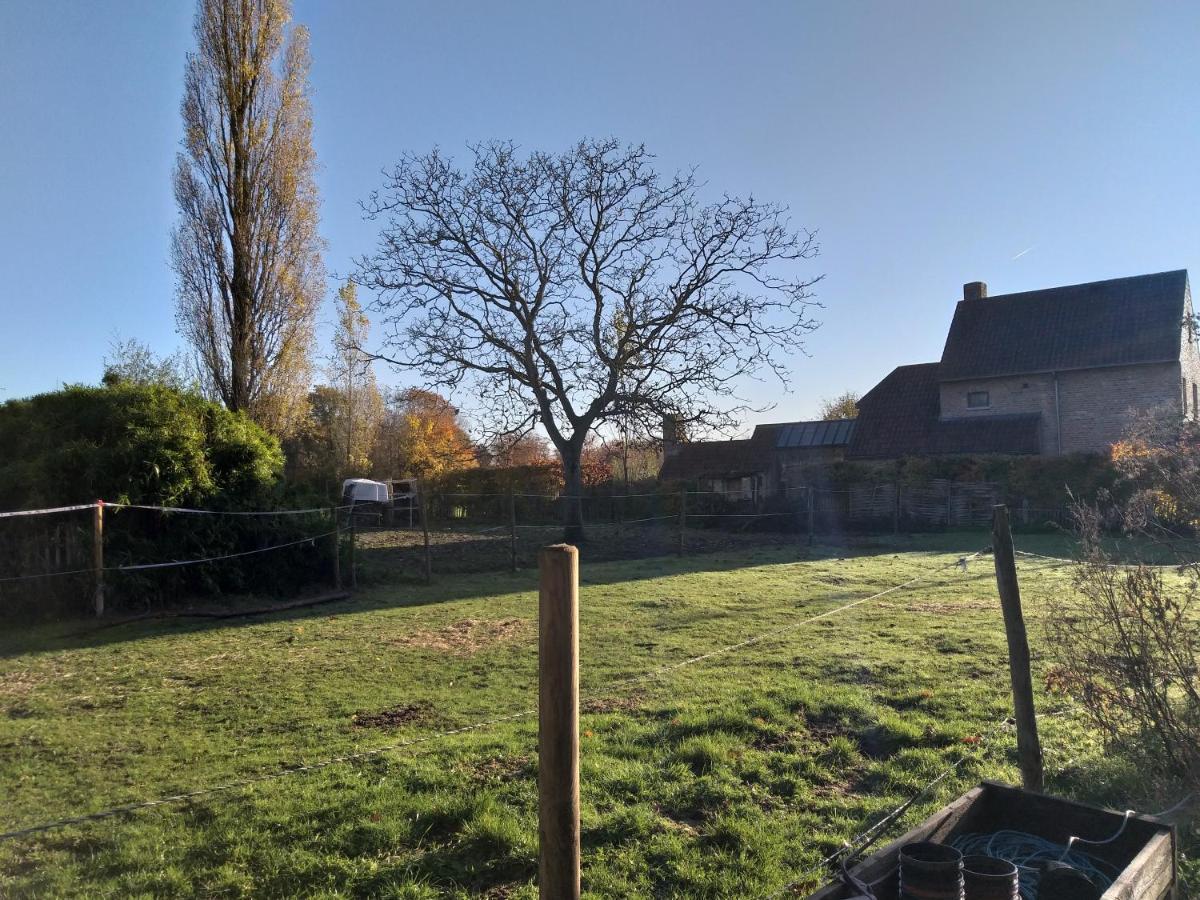 Villa Hof Ter Sysen Loppem Esterno foto